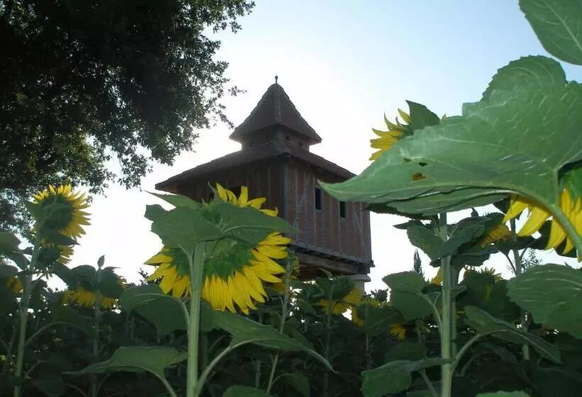 Aamiaismajoitus (B&B) Chambre D Hôtes Insolite Dans Un Pigeonnier à 5 Minutes De Marciac Gers