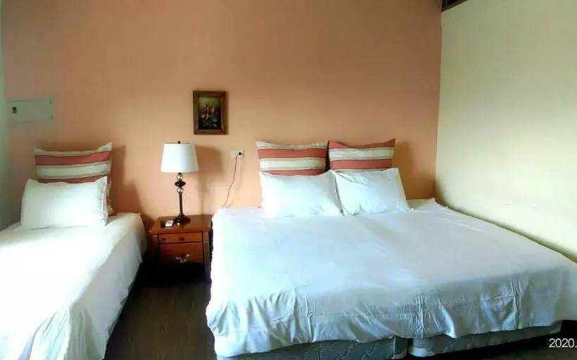 تختخواب و صبحانه Champs Elysees Guesthouse