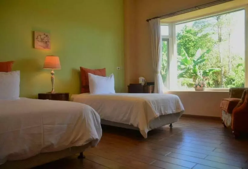 تختخواب و صبحانه Champs Elysees Guesthouse