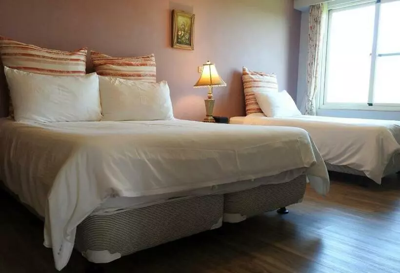 تختخواب و صبحانه Champs Elysees Guesthouse