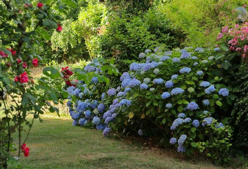 Отель Locazione Turistica Ai Due Cedri