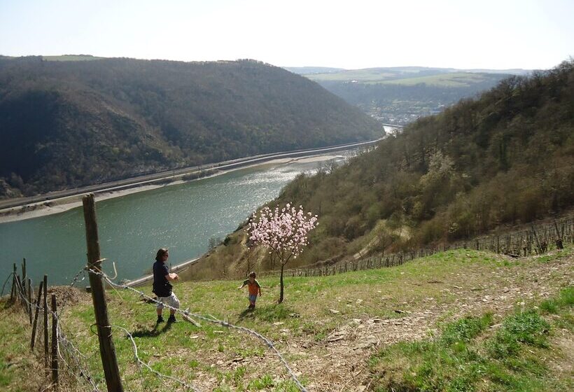 酒店 & Restaurant Beckmanns Winzerhaus