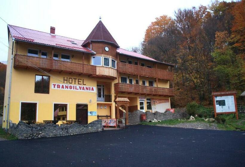 ペンション Vila Transilvania