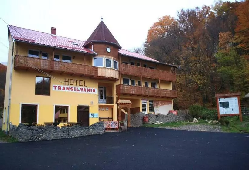 ペンション Vila Transilvania