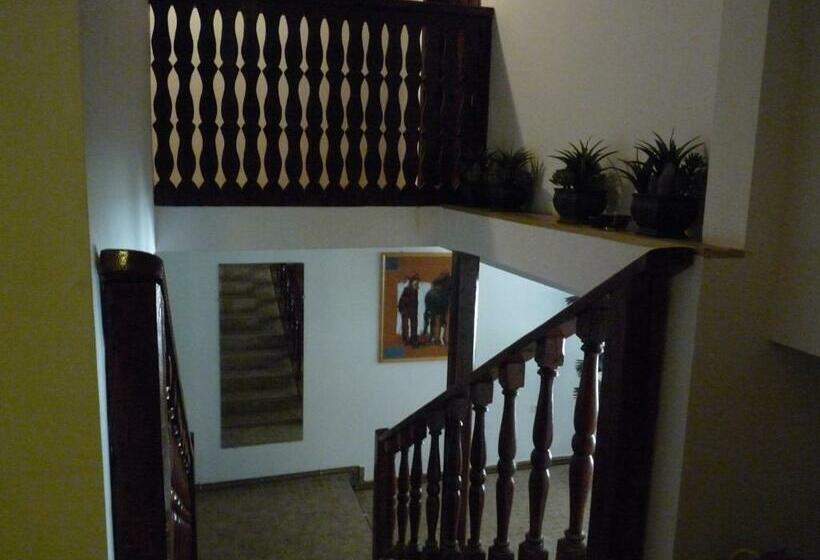 ペンション Vila Transilvania