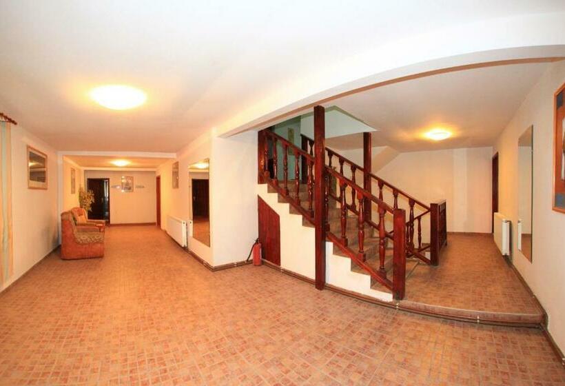 ペンション Vila Transilvania