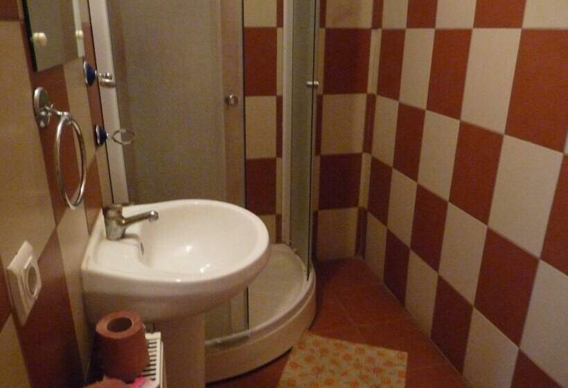 ペンション Vila Transilvania