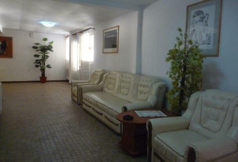 ペンション Vila Transilvania