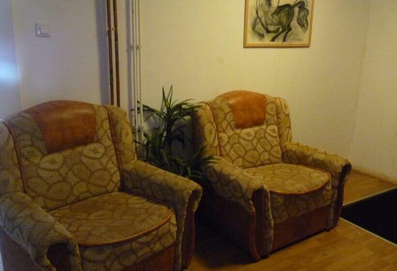 ペンション Vila Transilvania