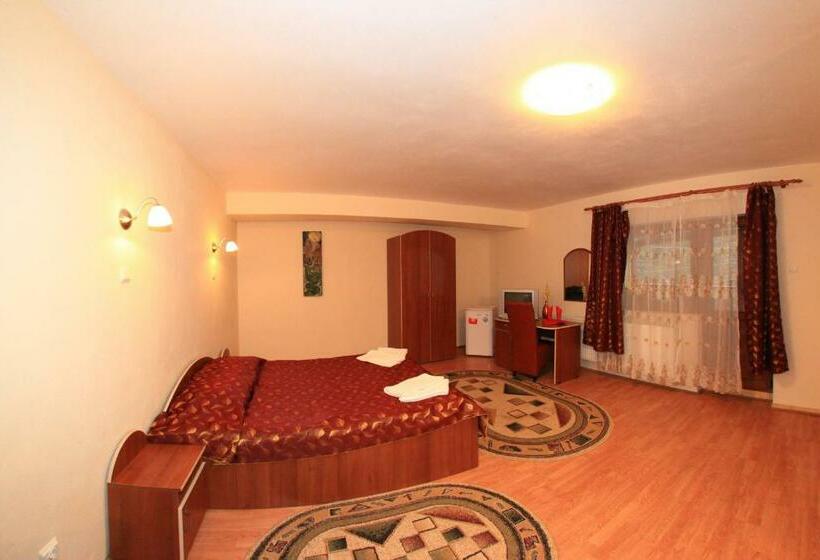 ペンション Vila Transilvania