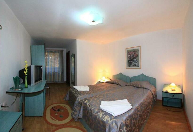 ペンション Vila Transilvania