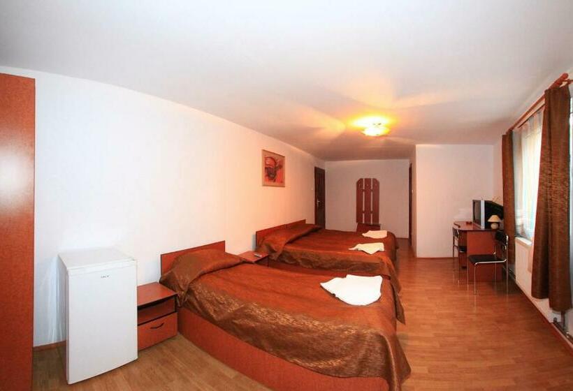 ペンション Vila Transilvania