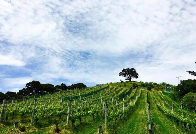 ペンション Waiheke Island Vineyard Holiday Houses