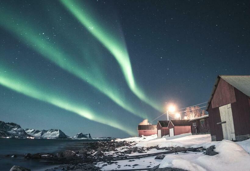 Отель Skagi Bed & Lodge