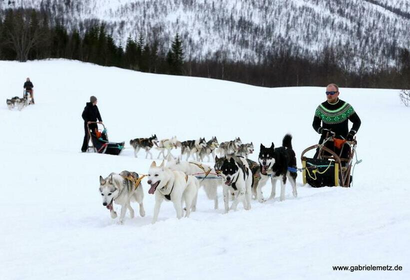 Отель Skagi Bed & Lodge
