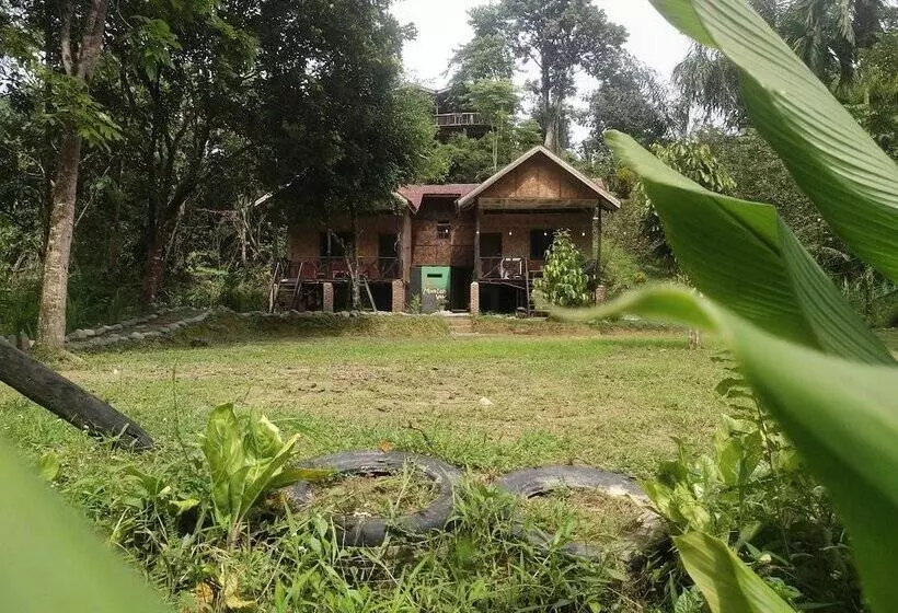 Retkeilymaja Mountain View Cottages & Villa Tangkahan