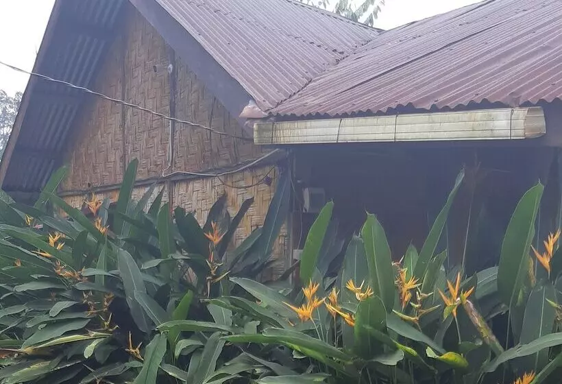 Retkeilymaja Mountain View Cottages & Villa Tangkahan