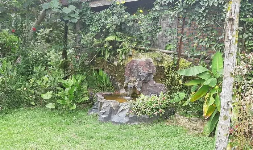 Retkeilymaja Mountain View Cottages & Villa Tangkahan