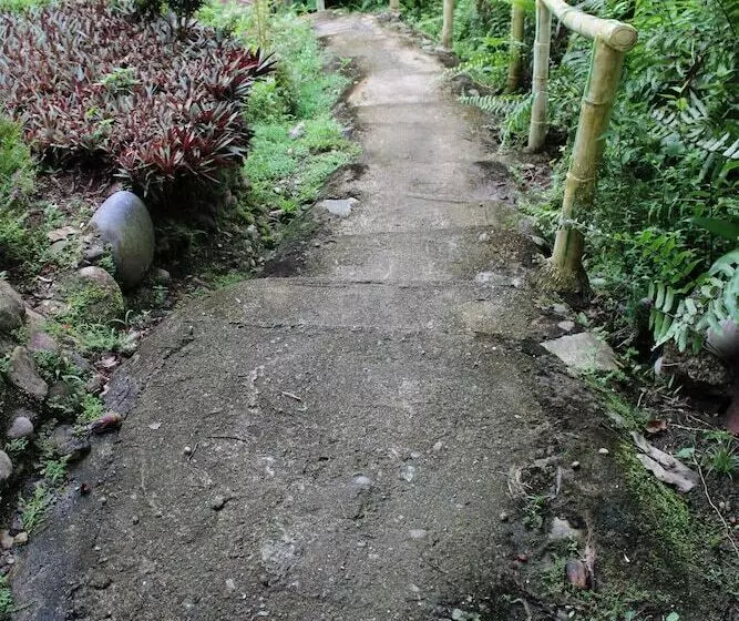 Retkeilymaja Mountain View Cottages & Villa Tangkahan