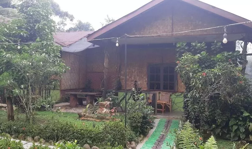 Retkeilymaja Mountain View Cottages & Villa Tangkahan