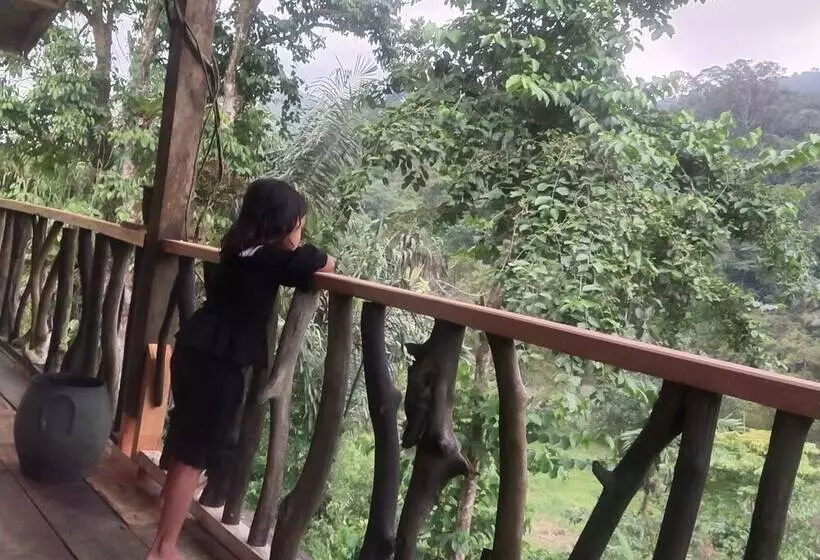 Retkeilymaja Mountain View Cottages & Villa Tangkahan