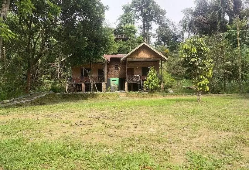 Retkeilymaja Mountain View Cottages & Villa Tangkahan