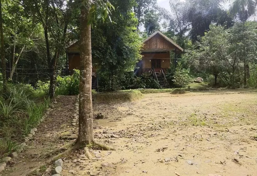 Retkeilymaja Mountain View Cottages & Villa Tangkahan