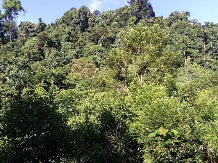 Retkeilymaja Mountain View Cottages & Villa Tangkahan