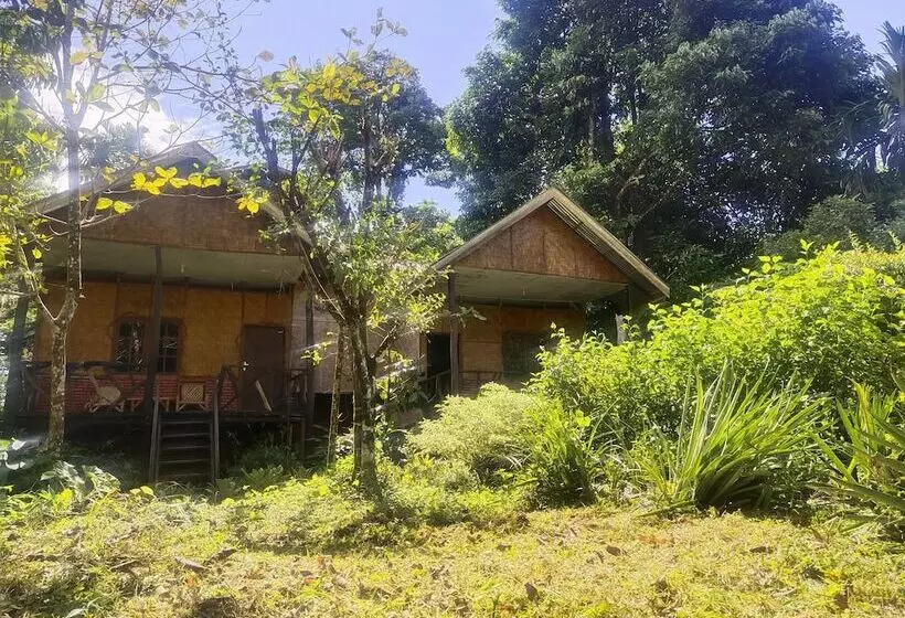 Retkeilymaja Mountain View Cottages & Villa Tangkahan