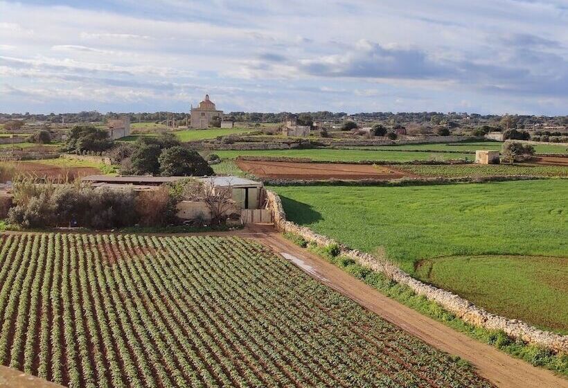 تختخواب و صبحانه Joseluce