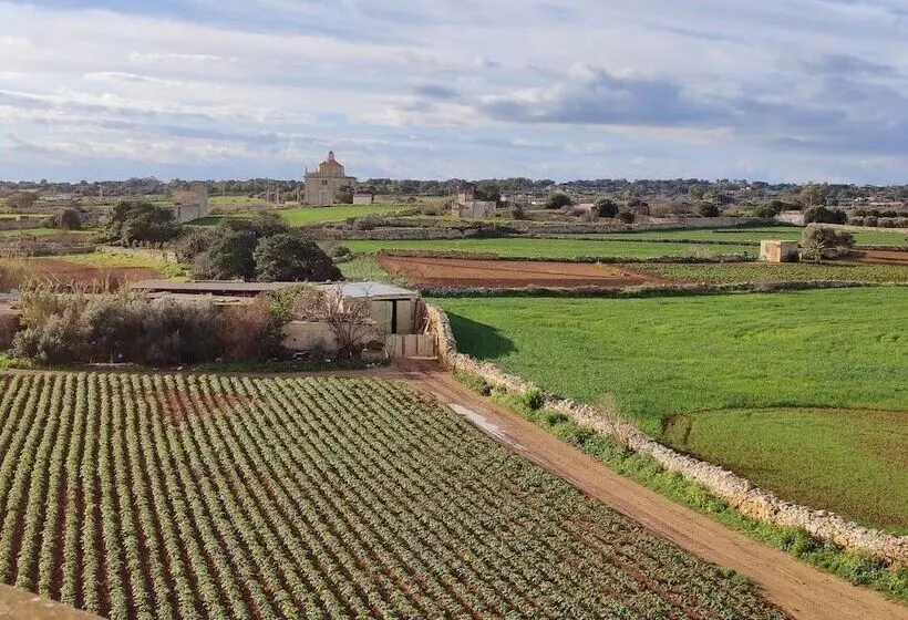 تختخواب و صبحانه Joseluce