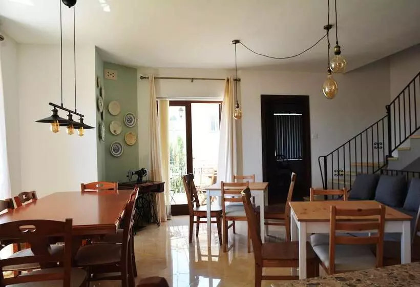 تختخواب و صبحانه Joseluce