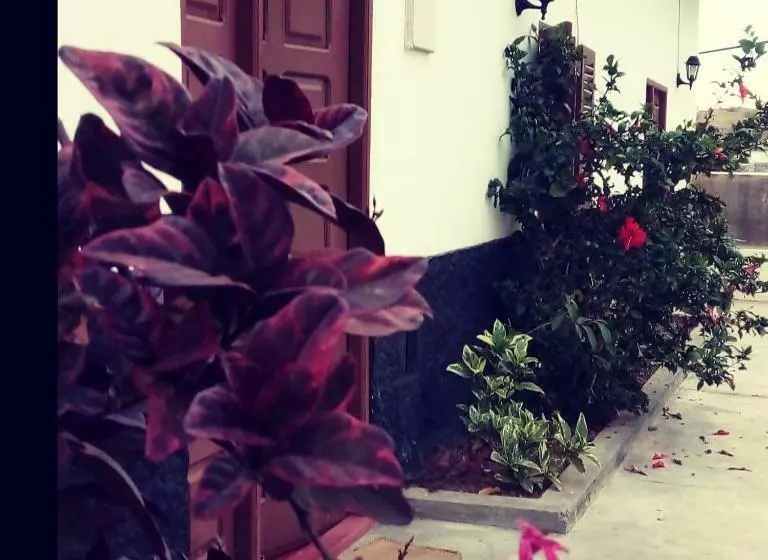 تختخواب و صبحانه Kaza Ladera