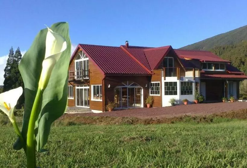 تختخواب و صبحانه L Arum Des Prairies
