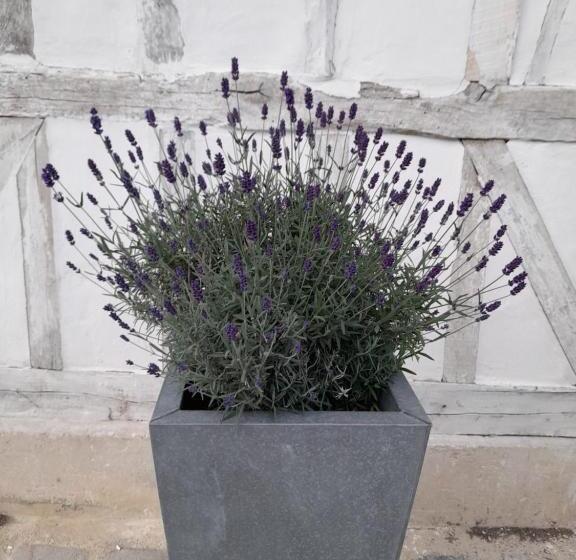 مبيت وإفطار Le Clos De L Agneau