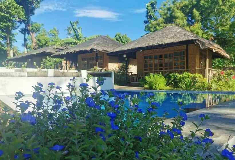 ホテル 珂珂茉潜水度假村kokomo Dive Resort