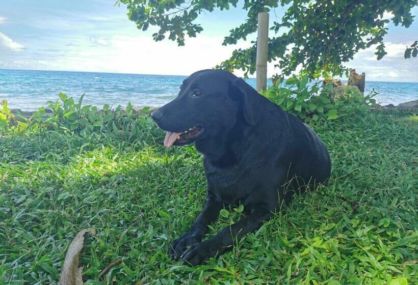 Hotel 珂珂茉潜水度假村kokomo Dive Resort