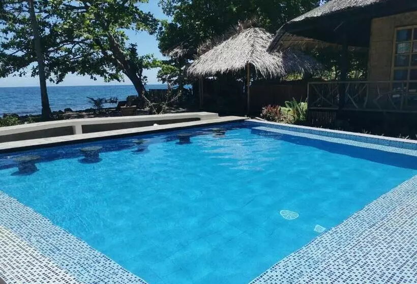 ホテル 珂珂茉潜水度假村kokomo Dive Resort