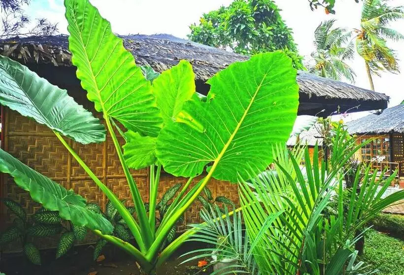 ホテル 珂珂茉潜水度假村kokomo Dive Resort