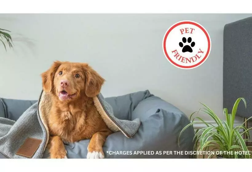 Love Hotels St John River At Fort Kent Me