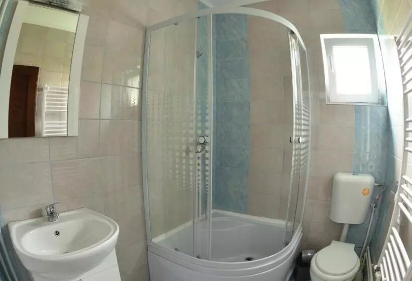 ペンション Casa Natalia Raisa Arieșeni