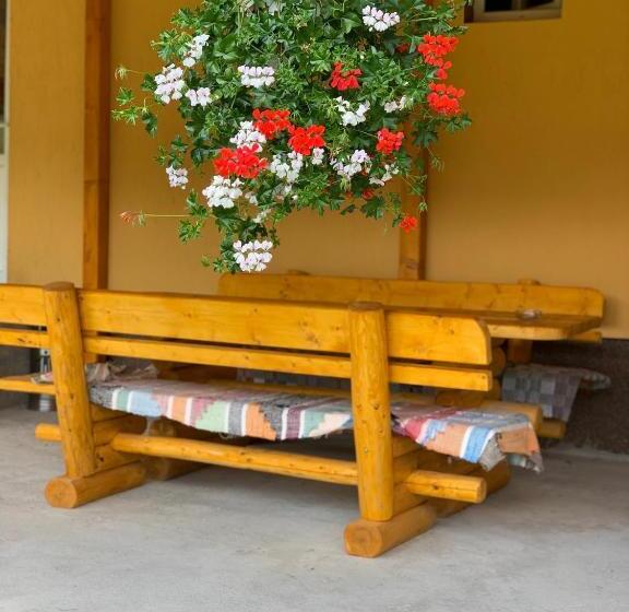 پانسیون Casa Natalia Raisa Arieșeni