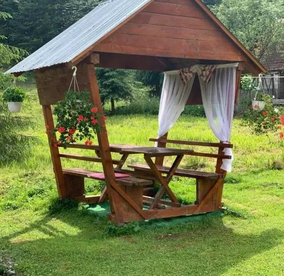 ペンション Casa Natalia Raisa Arieșeni