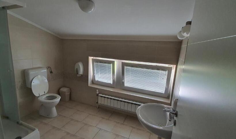 پانسیون Gostilna S Prenočišči Pri Janezu