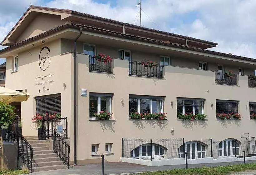 پانسیون Gostilna S Prenočišči Pri Janezu