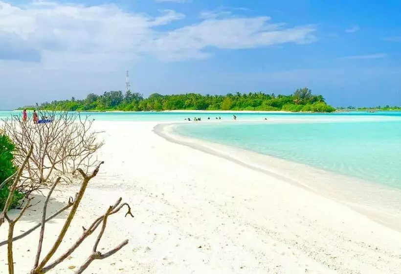 پانسیون Royal Reef Stay