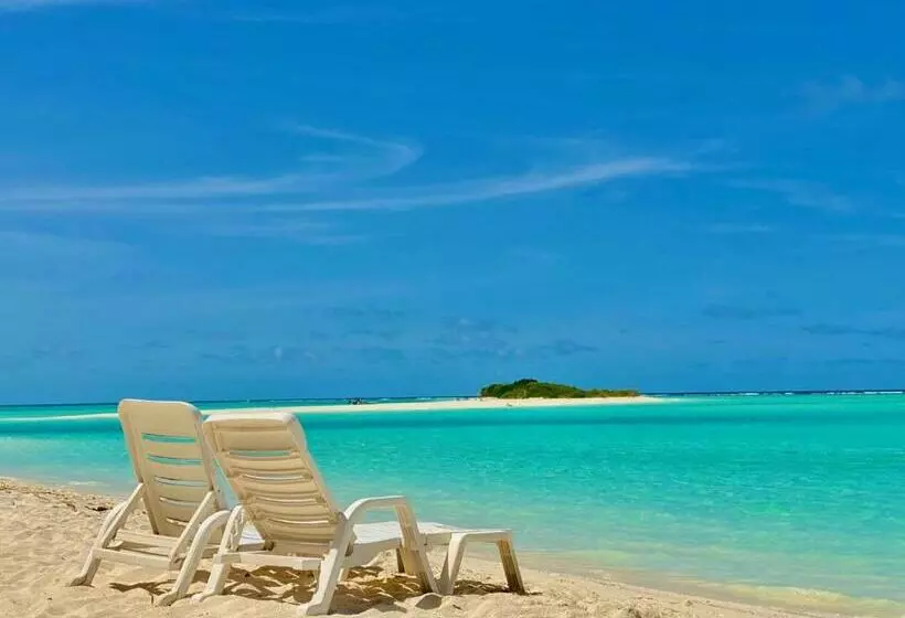 پانسیون Royal Reef Stay