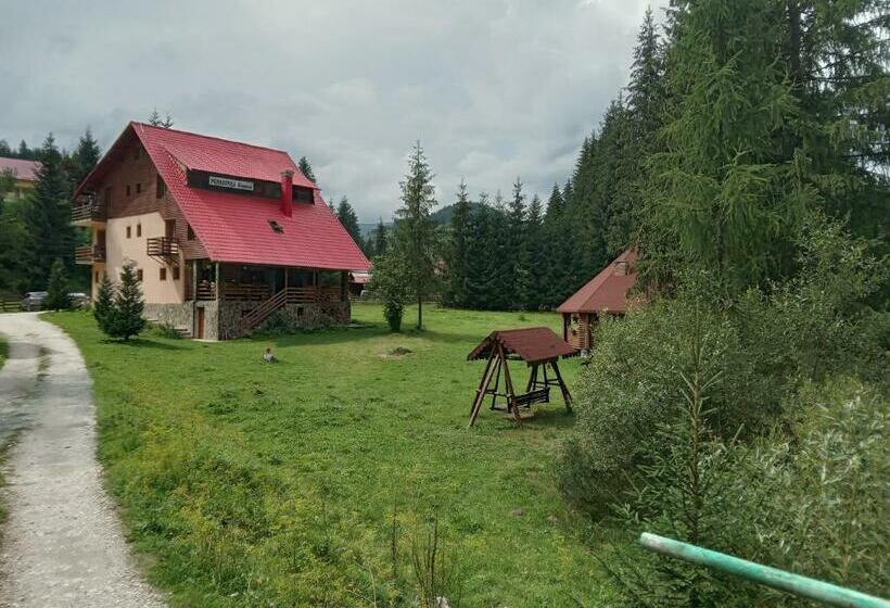 Pensiunea Simona Arieseni