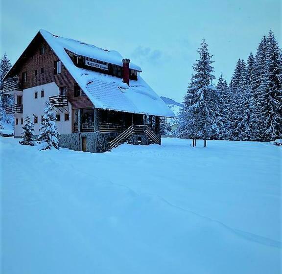 Pensiunea Simona Arieseni