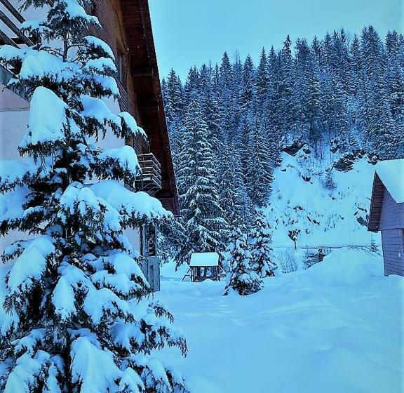 Pensiunea Simona Arieseni